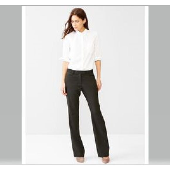 gap modern boot dress pants